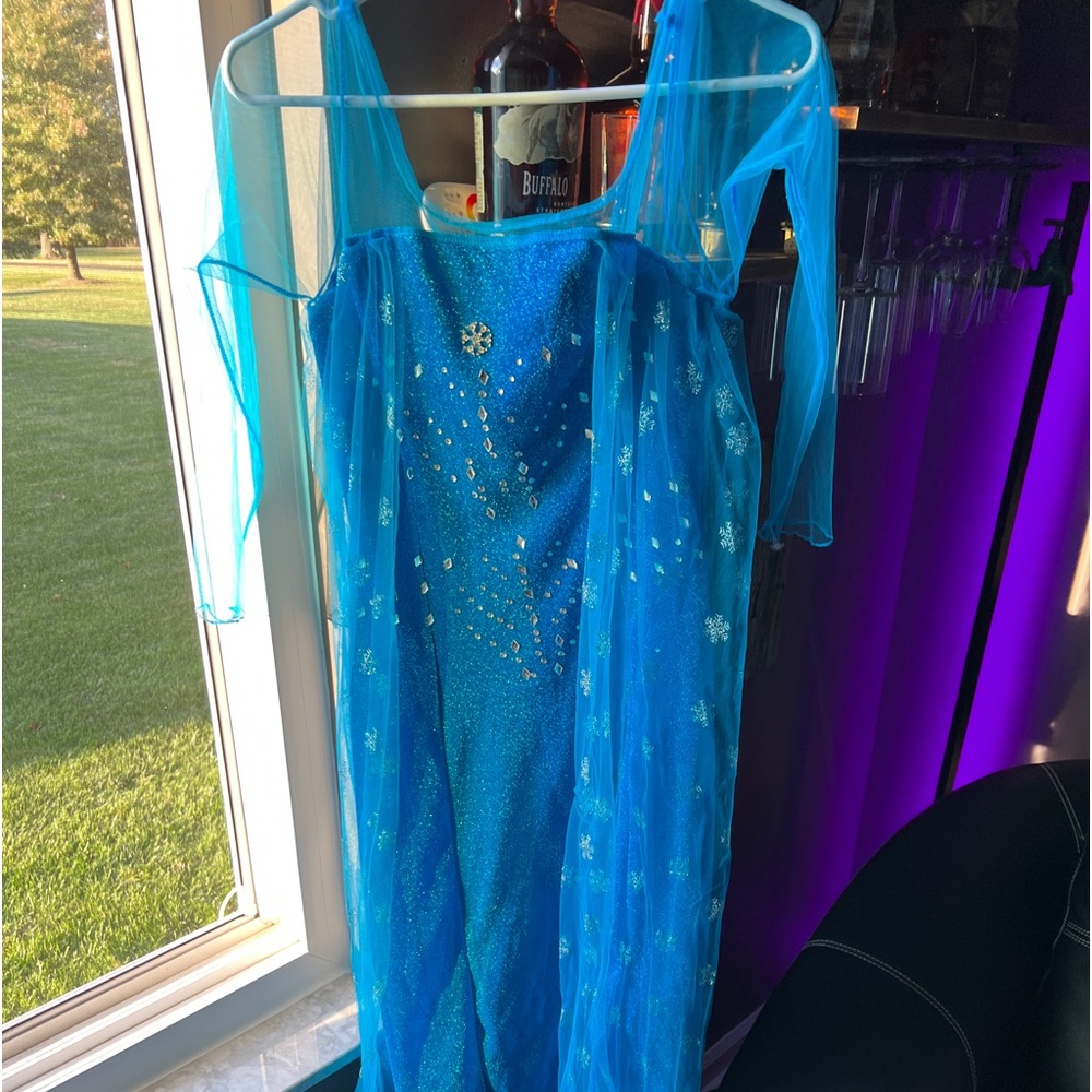 Frozen Elsa costume